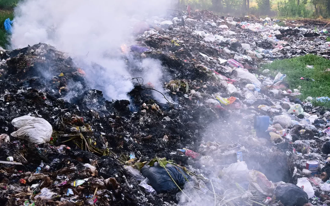 Salvează solul! De ce este important să prevenim poluarea solului?