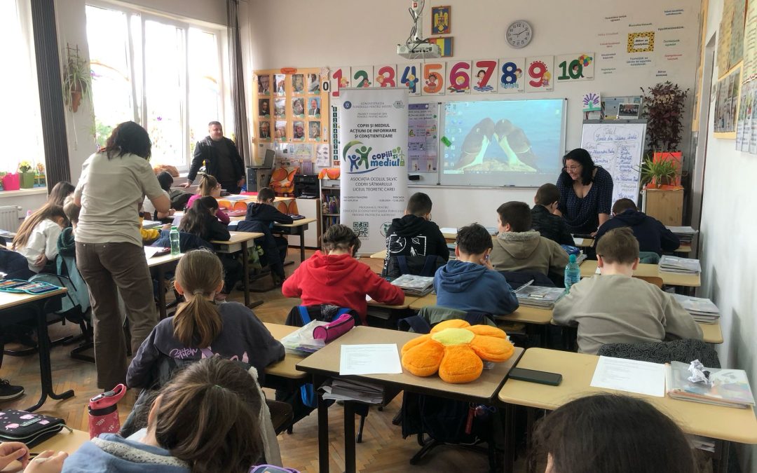 A treia lecție deschisă