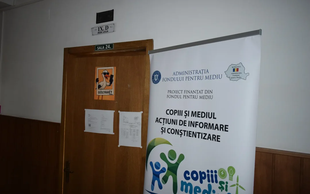 Lecția deschisă nr. 24 – Clasa a IX-a D